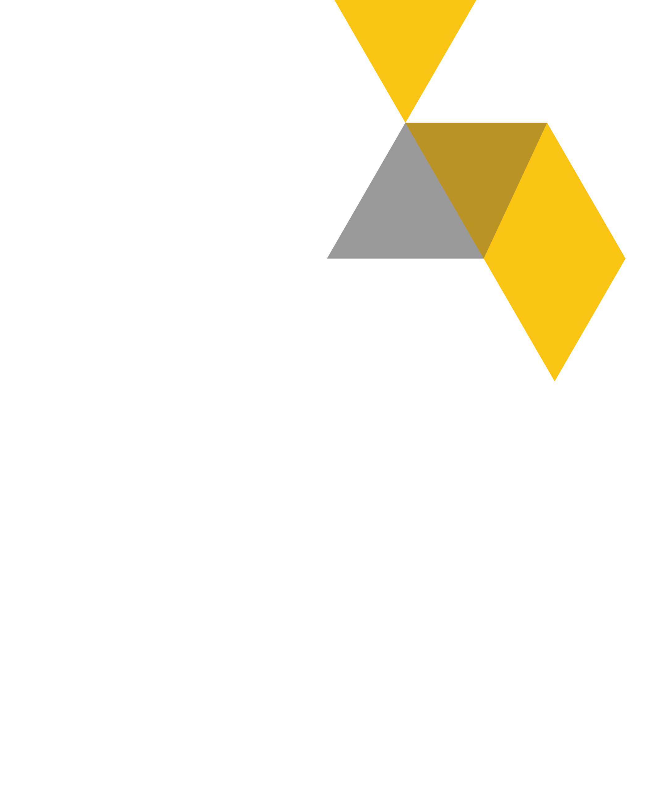 Logo Dinar Geoinstrument